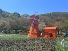 -苏州上方山国家森林公园