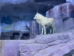 -多彩贵州城极地海洋世界