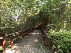 -白鹭湾湿地公园