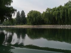 -皇家御河游(紫御湾码头)