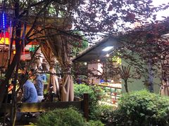 -二荆条·蜀鲜汇城市森林火锅
