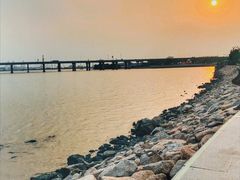 -宝安西湾红树林湿地公园