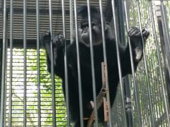 -广东茂名森林公园