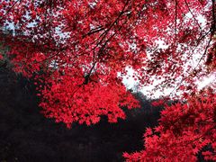 -崂山九水游览区