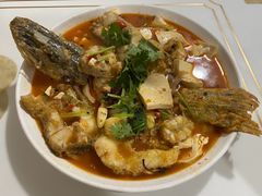 红烧狗鱼-煲来饱去冷水鱼