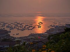 -枸杞岛