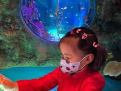 -沈阳海洋探索中心