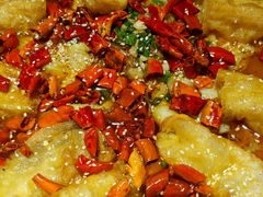 -友达面馆(桥西万象城店)