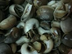 -威海小海鲜大排档胖哥烧烤(双井店)