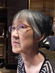 -V-STAR威斯达•高级私人定制