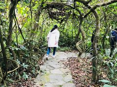 -广西壮族自治区药用植物园