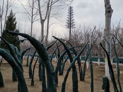 -大兴滨河森林公园