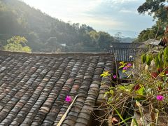-杨家堂村