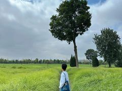 -汉长安城未央宫国家考古遗址公园