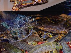 -79号渔船海鲜饭店(华强北店)