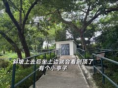 -讯号山花园