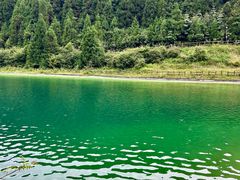 -武陵山森林公园