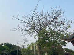 -顺峰山公园