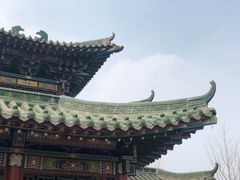 -太原动物园