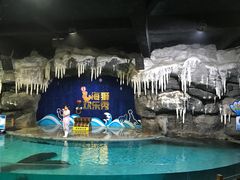 -郑州海洋馆