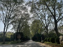 -河南省黄河迎宾馆