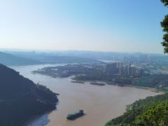 -铁山坪森林公园