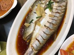 -老马家·舌尖上的西塘美食
