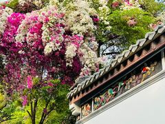 -深圳国际园林花卉博览园