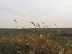 -鄱阳湖国家湿地公园