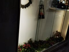 -东口码头·烧鸽子·鱼头泡饼·地方菜(金鹰悦城店)