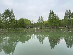 -渤公岛生态公园