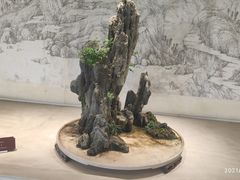 -扬州大运河文化旅游度假区·盆景园