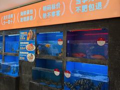 -连鹭海鲜·海肠捞饭·海胆饭(星海店)