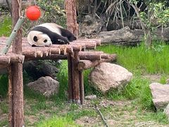-宁波野生动物园