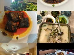 -洞庭家宴·头牌甲鱼(广渠门店)