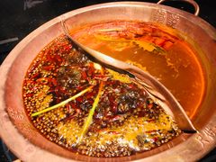 -锅说大脸毛肚重庆老火锅(佐阾店)