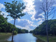 -上海海湾国家森林公园