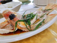 -思远客家菜馆(巴伐利亚店)