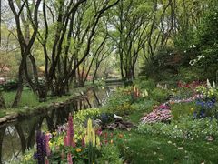 -上海共青森林公园