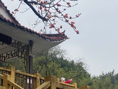 -晓港公园