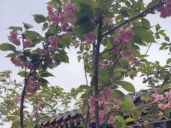 -荣国府