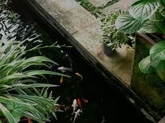 -谷咖啡·鲜花绿植花园餐厅
