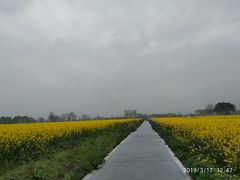 -中国天府农业博览园