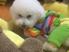 -爱侣宠医·鹦鹉专科·小型哺乳类·异宠专科(灵石路店)