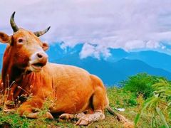 -牛背山