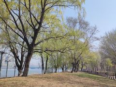-长白岛森林公园