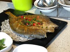 -九府羊·鲜羊火锅·烤串(新华路店)