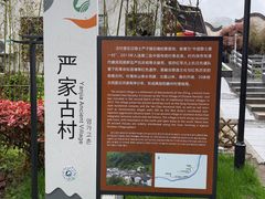 -石台牯牛降景区