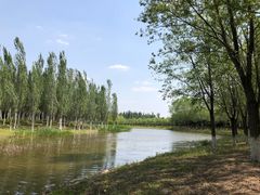 -东郊湿地公园