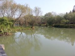 -西溪国家湿地公园